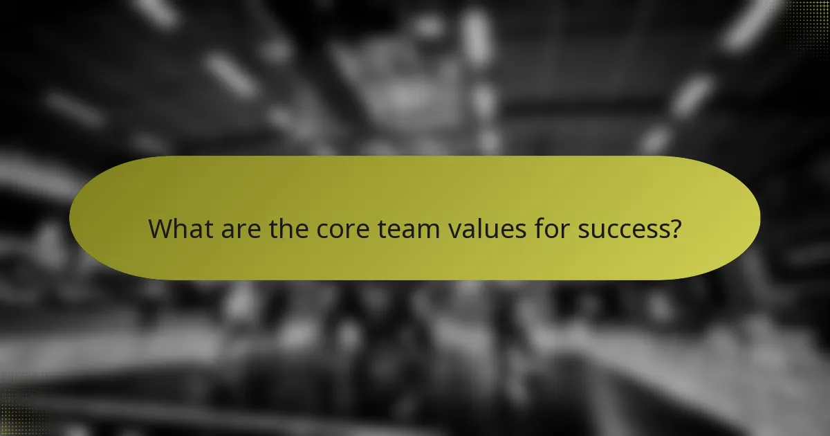 What are the core team values for success?